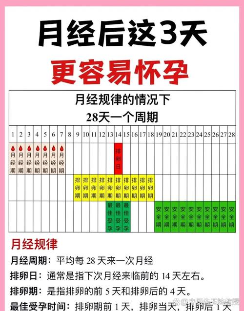 月经周期长短和怀孕难易有关吗