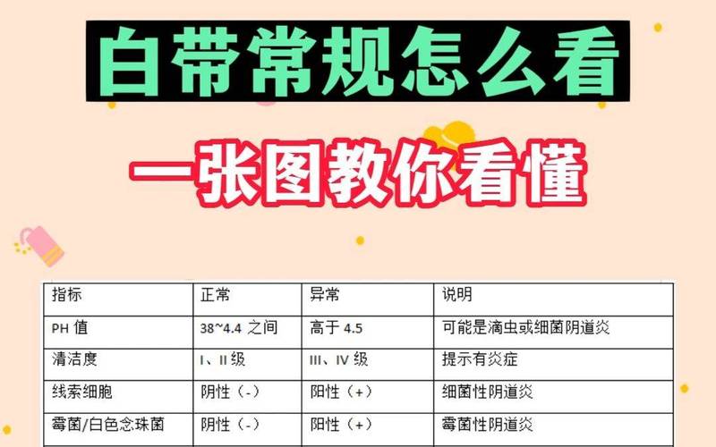 白带常规和阴道微生态区别