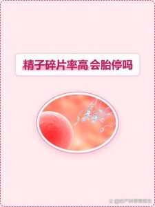精子碎片率高会遗传给孩子吗？答案和想的不一样-两性知识丨两性健康--你想了解的我都知道