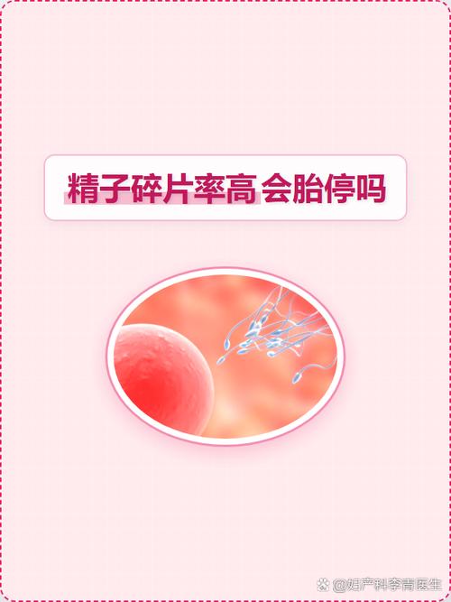 精子碎片率高会遗传吗