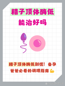 备孕要查精子顶体酶吗?一文说清这个关键指标-两性知识丨两性健康--你想了解的我都知道