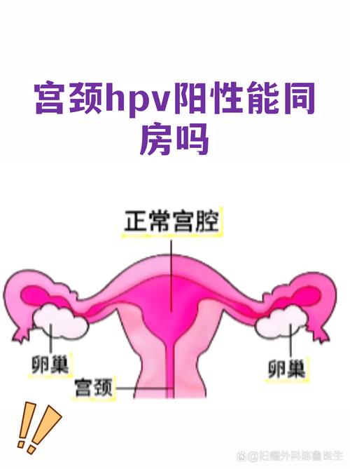 HPV阳性还能同房吗