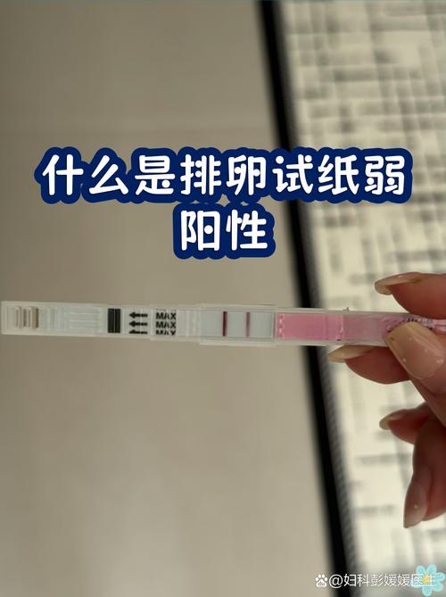 备孕期间能用排卵监测手环吗