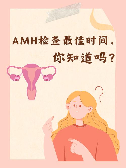 AMH检查什么时候做