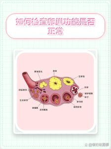 卵巢功能减退,一定要查卵巢血流吗?-两性知识丨两性健康--你想了解的我都知道