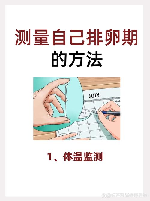 卵巢储备低要每月监测排卵吗