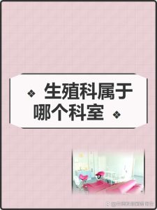 备孕和怀孕检查,到底该挂生殖科还是妇产科?-两性知识丨两性健康--你想了解的我都知道
