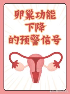 卵巢功能减退有哪些信号?身体会提前给你这5个提醒-两性知识丨两性健康--你想了解的我都知道