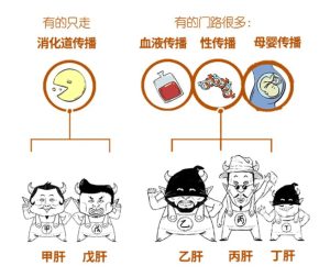 乙肝会通过性行为传播吗？一文说清真相-两性知识丨两性健康--你想了解的我都知道