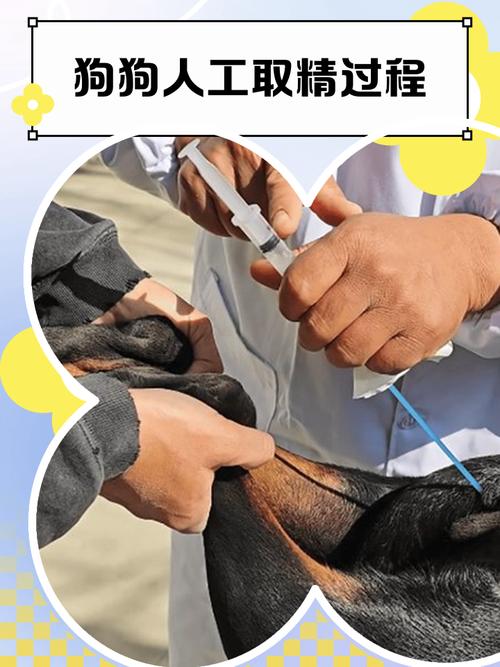 取精困难，可以怎么配合