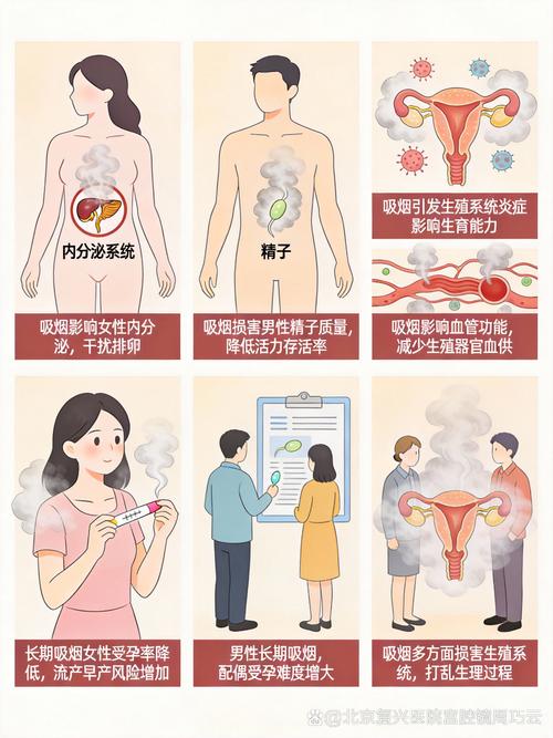 吸烟女性不孕风险高多少