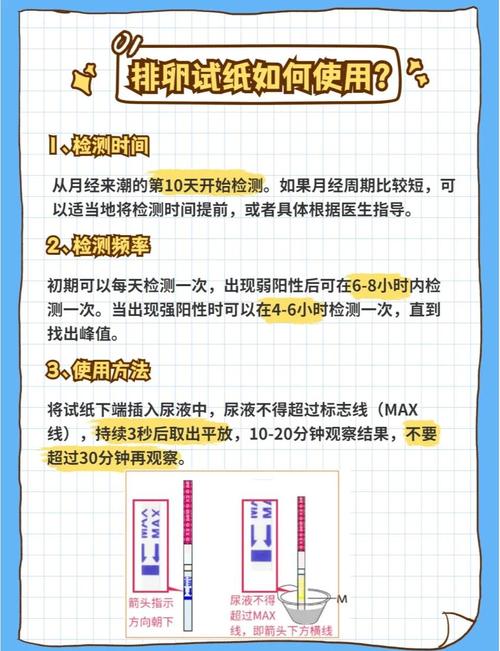 排卵试纸怎么用才准确