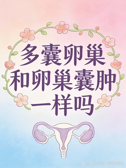 多囊卵巢和卵巢囊肿一样吗