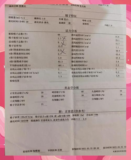 精液常规报告怎么看