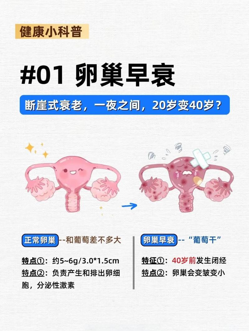 卵巢早衰和免疫疾病有关吗