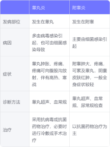 附睾炎和睾丸炎如何区分,治疗有何不同-两性知识丨两性健康--你想了解的我都知道