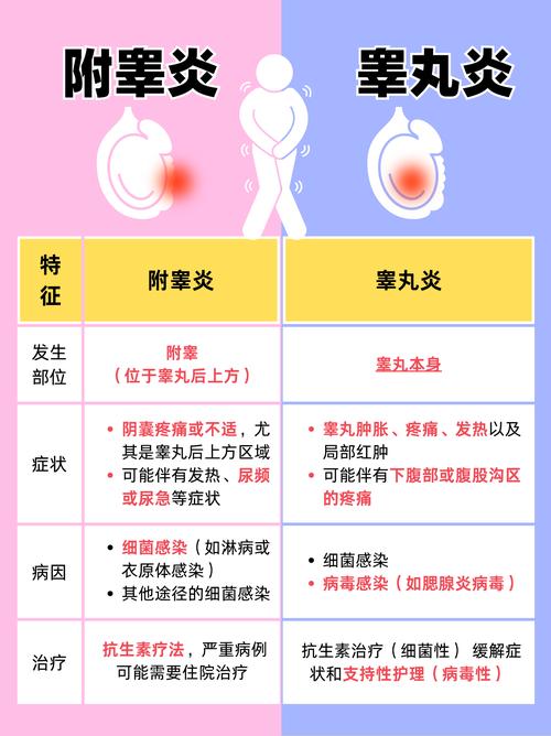 附睾炎和睾丸炎如何区分，治疗有何不同