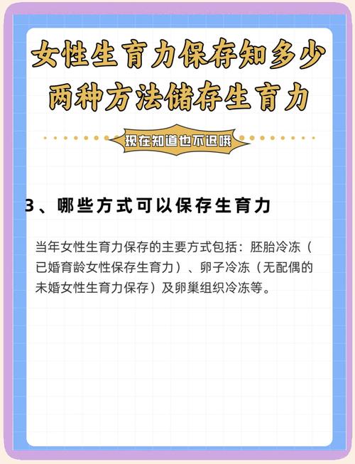 生育力保存要花多少钱