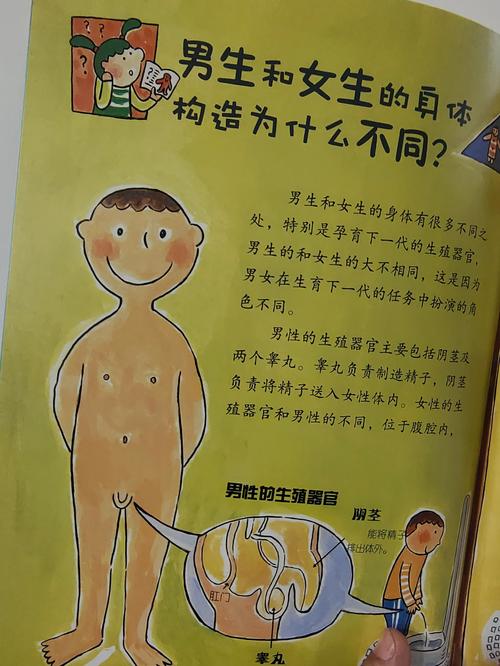 学校没教的身体知识，爸爸怎么开口讲