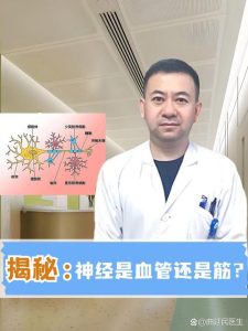 ED是血管问题还是神经问题?医生是怎么看的?-两性知识丨两性健康--你想了解的我都知道