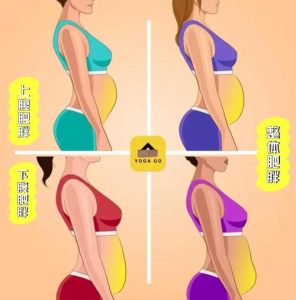 腹型肥胖和排卵障碍的关系-两性知识丨两性健康--你想了解的我都知道