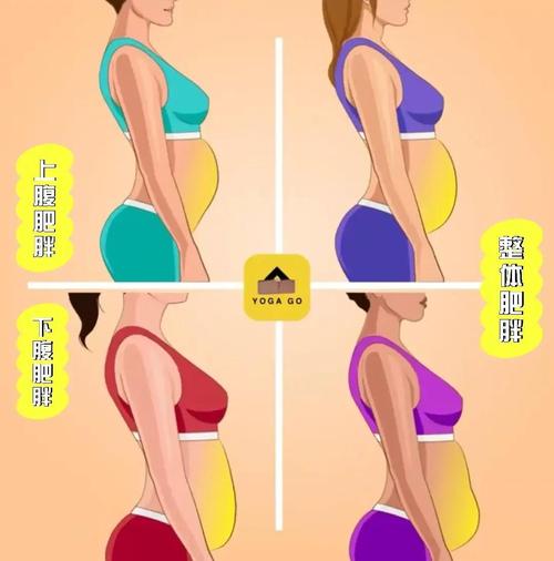 腹型肥胖和排卵障碍的关系
