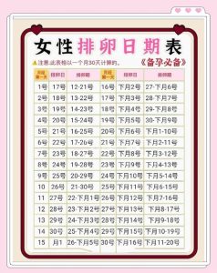 排卵期怎么算才更准确?新手必看实用方法-两性知识丨两性健康--你想了解的我都知道
