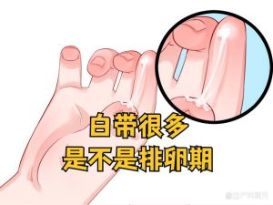 白带变多是排卵期到了吗-两性知识丨两性健康--你想了解的我都知道