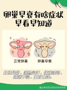 月经变少和卵巢早衰有关吗？一文讲清两者关系！-两性知识丨两性健康--你想了解的我都知道