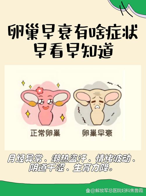 月经变少和卵巢早衰有关吗