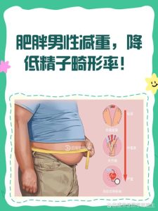 体重超标会拖累男性生育吗-两性知识丨两性健康--你想了解的我都知道