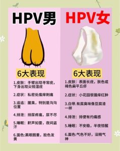 一方查出HPV阳性,另一半要不要跟着查一下?-两性知识丨两性健康--你想了解的我都知道