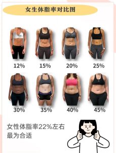 体脂率过高真的会干扰女性正常排卵吗?-两性知识丨两性健康--你想了解的我都知道