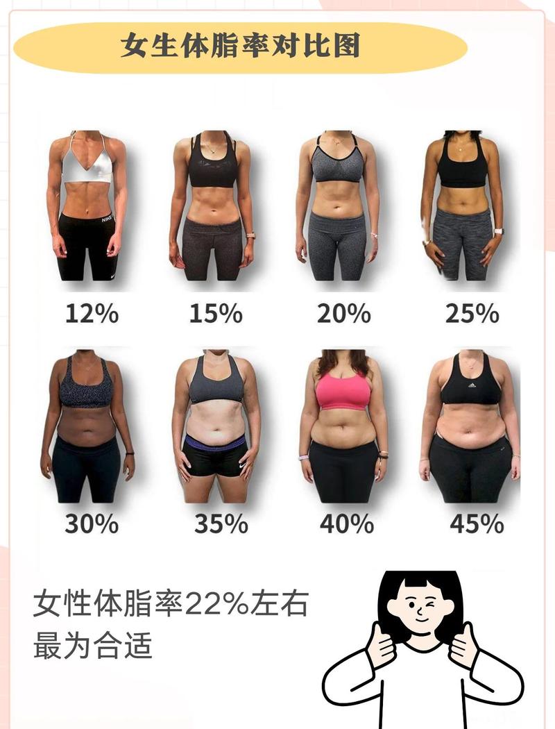 体脂率过高会干扰排卵吗