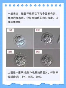 碎片率高会影响胚胎质量吗？-两性知识丨两性健康--你想了解的我都知道