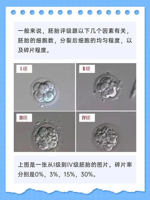 碎片率高会影响胚胎质量吗