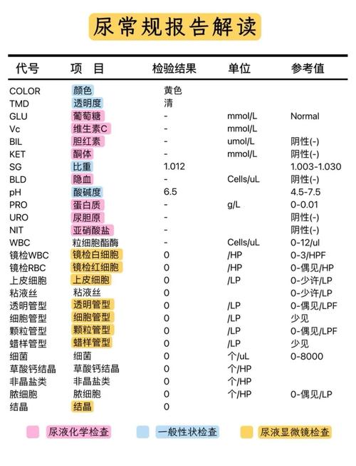 尿培养和尿常规有什么区别