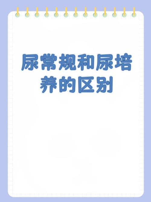 尿培养和尿常规有什么区别