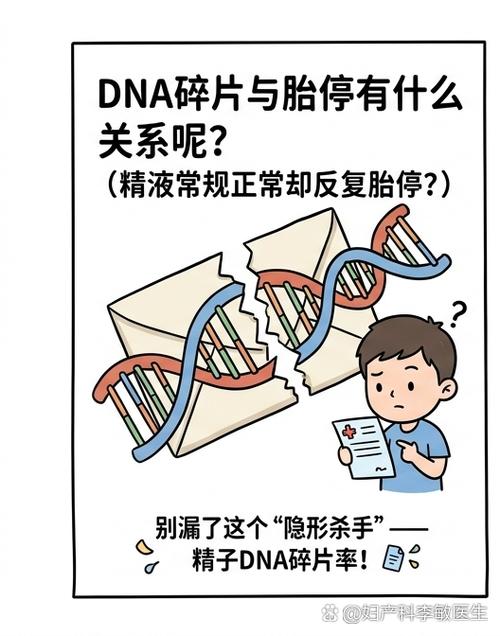 精子碎片率正常但反复胎停怎么办