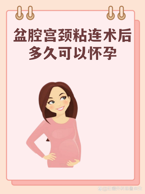 粘连分离后什么时候能试孕