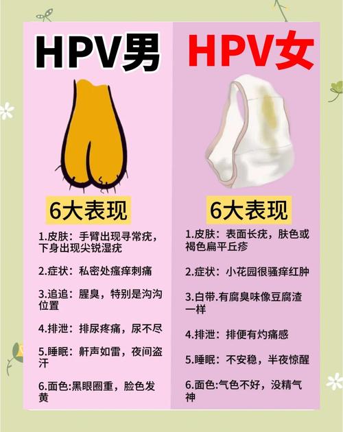 HPV阳性还能献血吗
