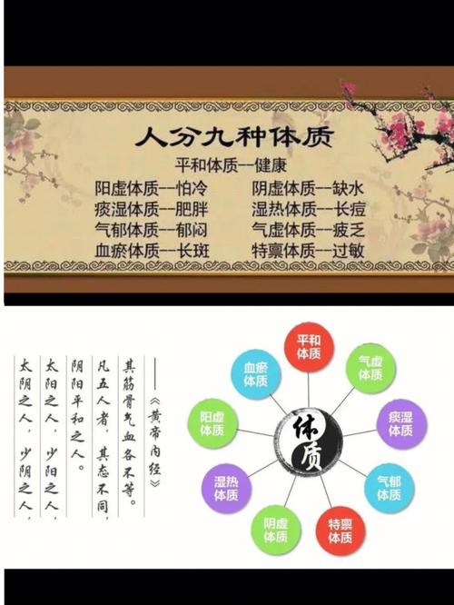 中医体质和生育力有关吗