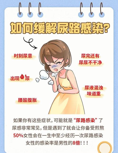 尿路感染总犯怎么办