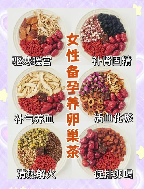 备孕能喝中药茶饮吗