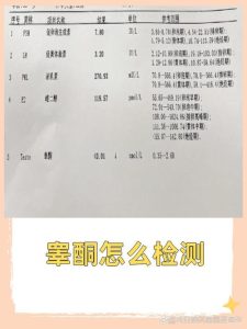 查睾酮该在什么时间抽血?一文给你讲明白-两性知识丨两性健康--你想了解的我都知道