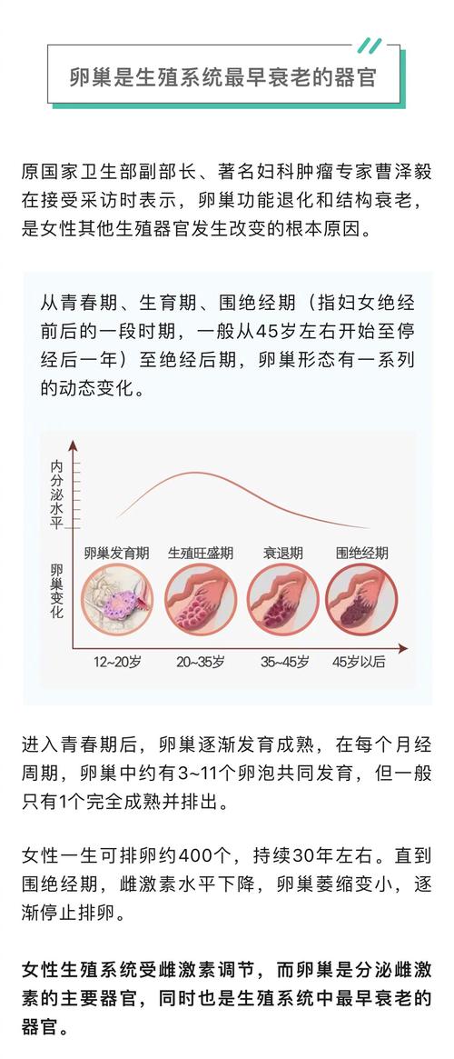 卵巢组织冻存后月经会恢复吗