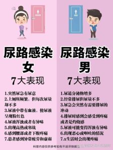 尿路感染和性生活频率有关吗?一篇文章讲清楚!-两性知识丨两性健康--你想了解的我都知道