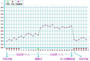 基础体温曲线到底该怎么看才能找准排卵日?-两性知识丨两性健康--你想了解的我都知道