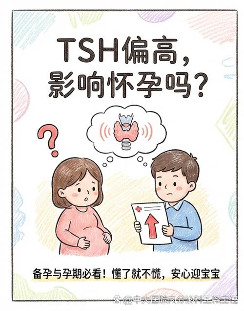 备孕女性TSH最好降到多少-相关配图