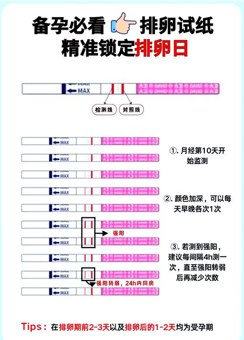 中药会影响排卵试纸吗